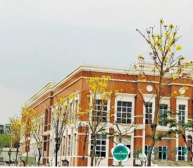   数字教育：“为个性化学习、终身学习、扩大优质教育资源覆盖面和教育现代化提供有效支撑”