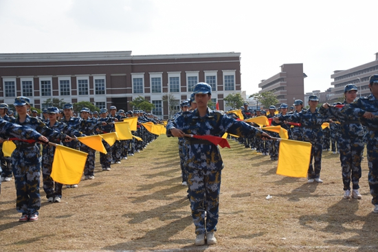 迷彩英姿彰显2024级新兵风采