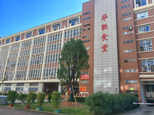 校友捐赠香樟树，共庆华联34周年